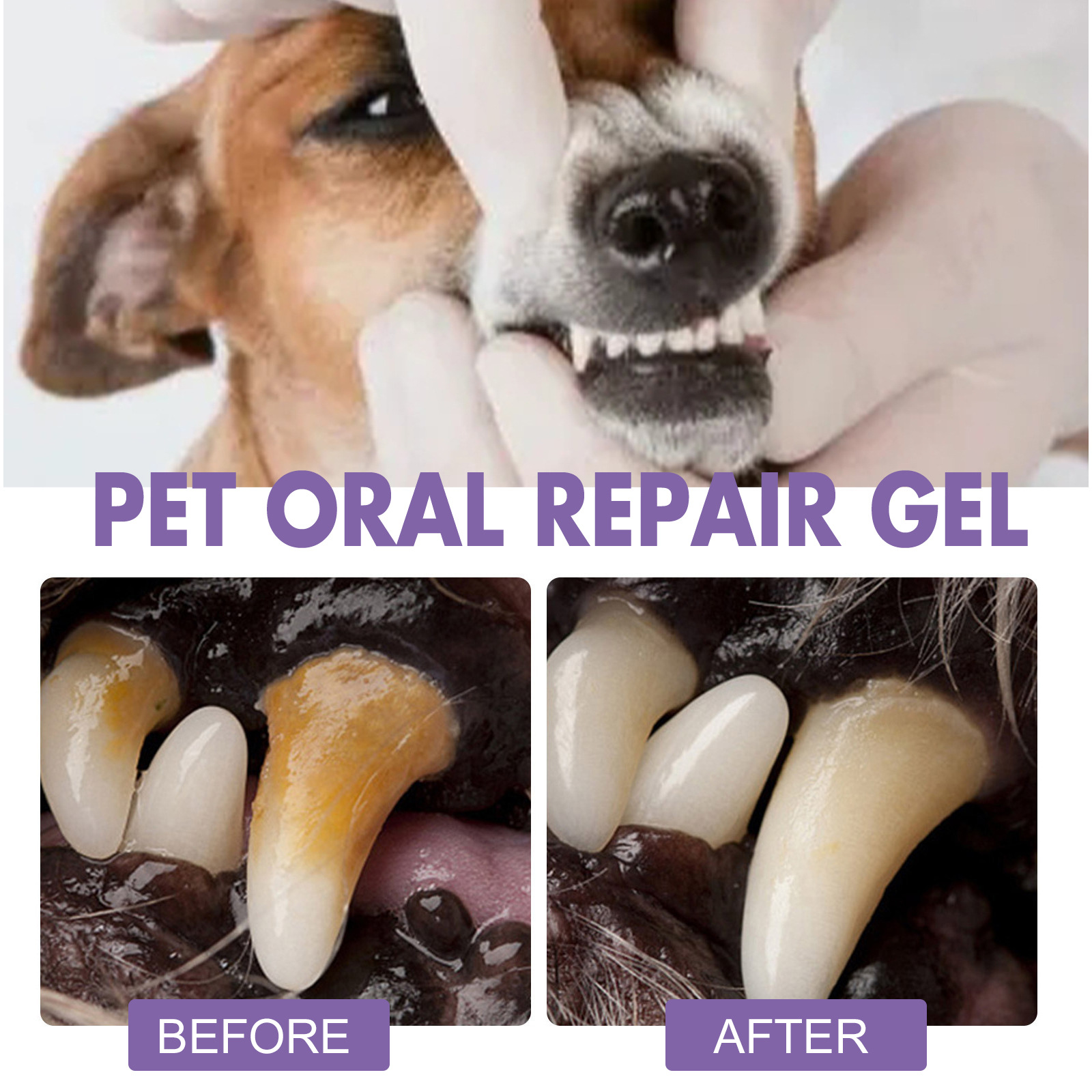 Pet Oral Repair Gel Puppy Tart - огляд і ціна Teeth Whitening Price