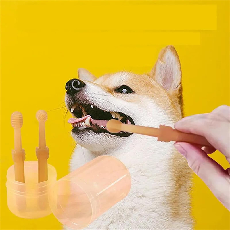 Teeth Whitening Dog Cat Silico - огляд і ціна Teeth Whitening Toothpaste